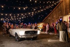 0L2A7495